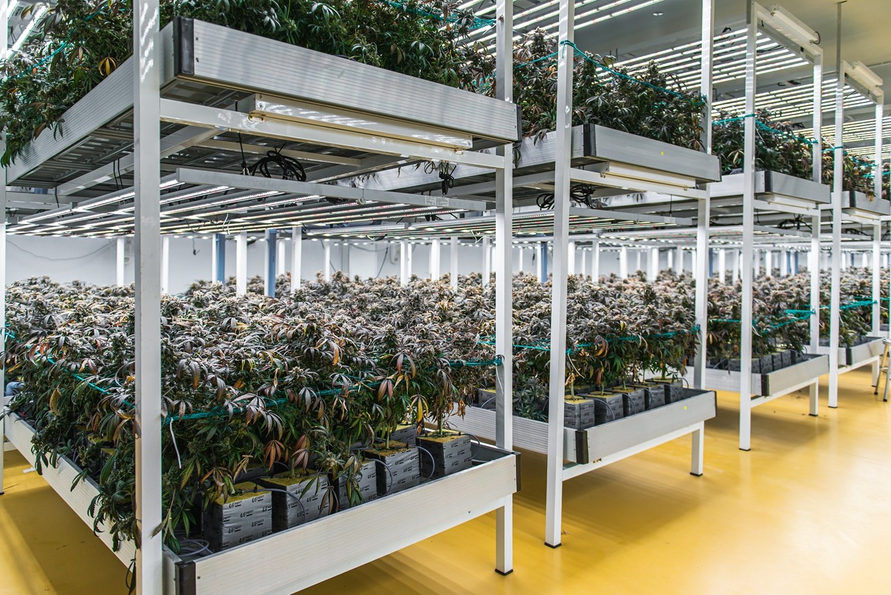 Professional LED Lighting
