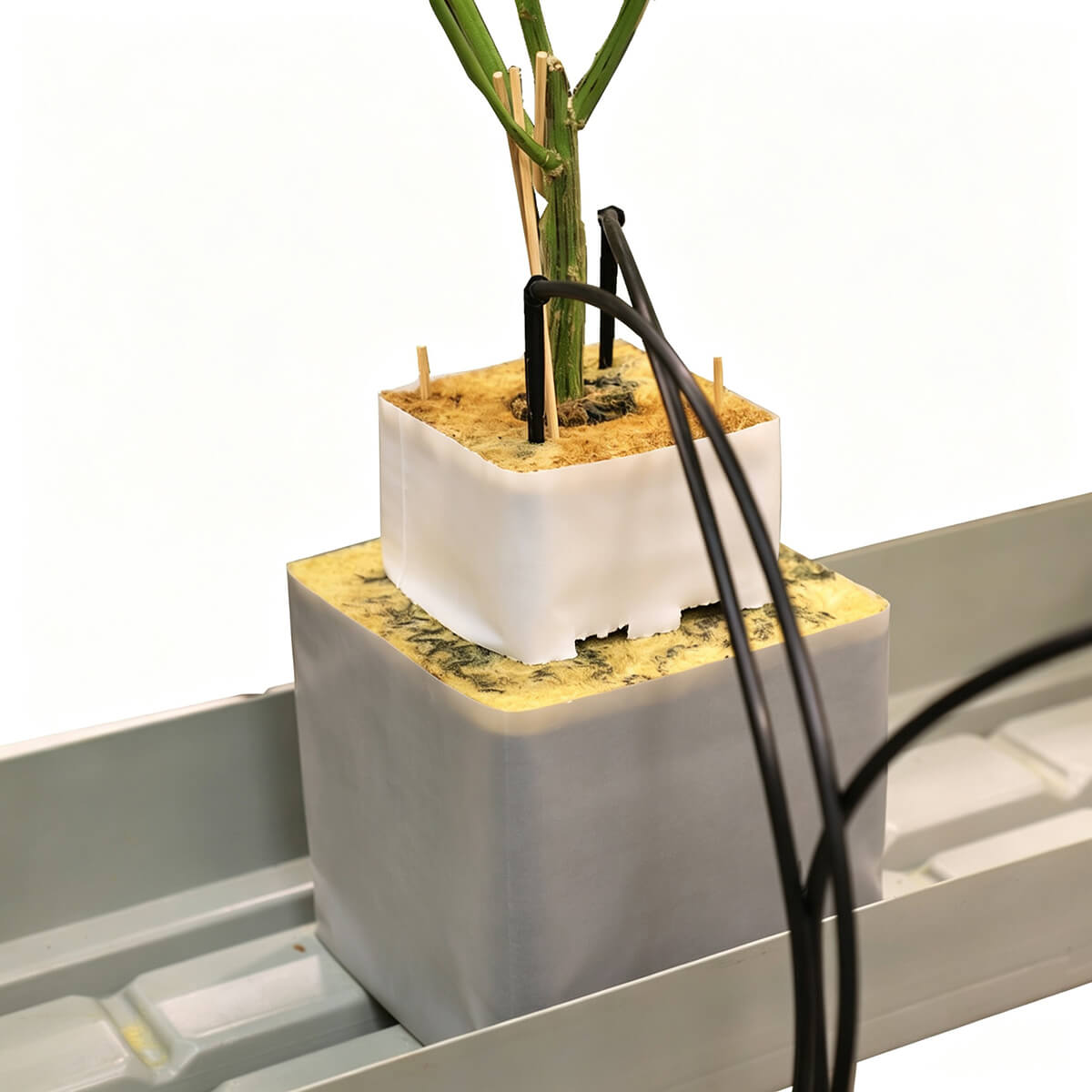 cannabis rock wool growing block 15P RM-15P for indoor hydroponic plant cultivation