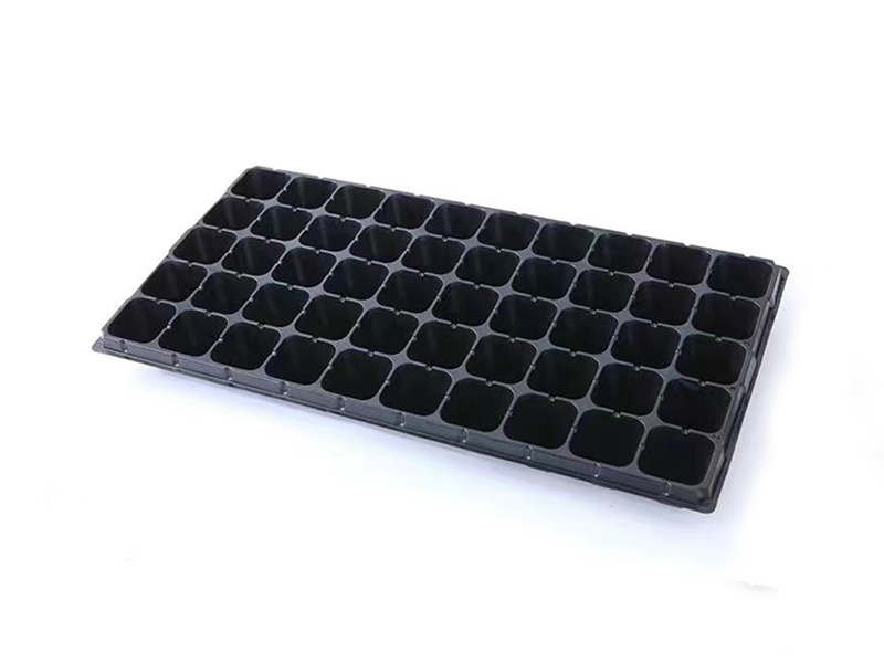 50-Cell Plastic Propagation Tray