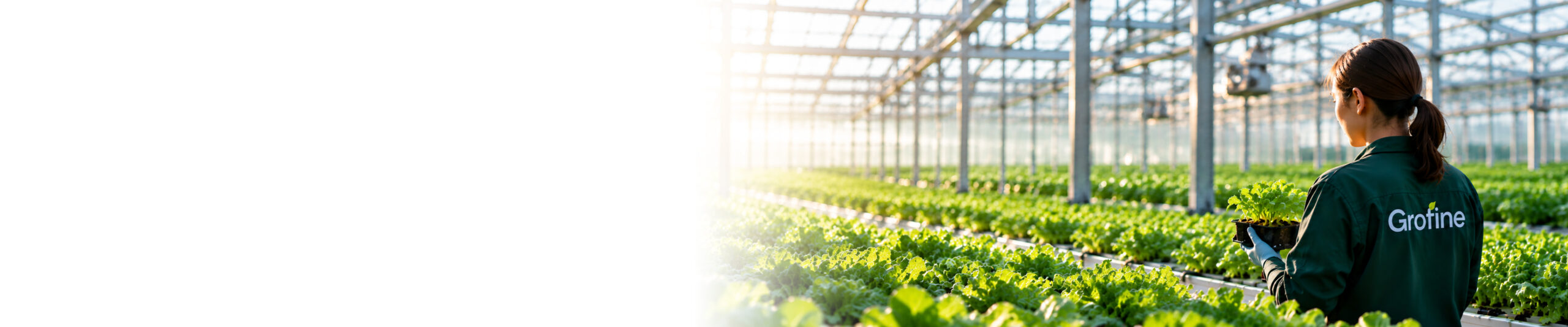 About Grofine - greenhouse growing solutions for commercial growers