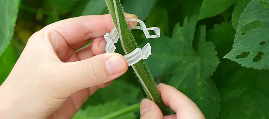 high-wire crop support stage