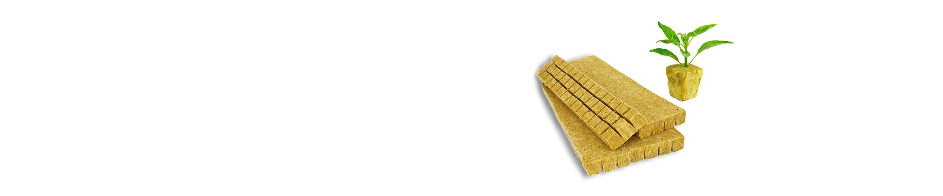 Rock Wool Propagation Plug T25
