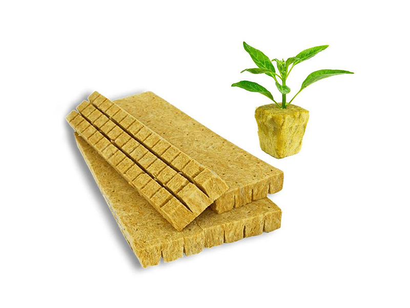 Rock Wool Propagation Plug T25