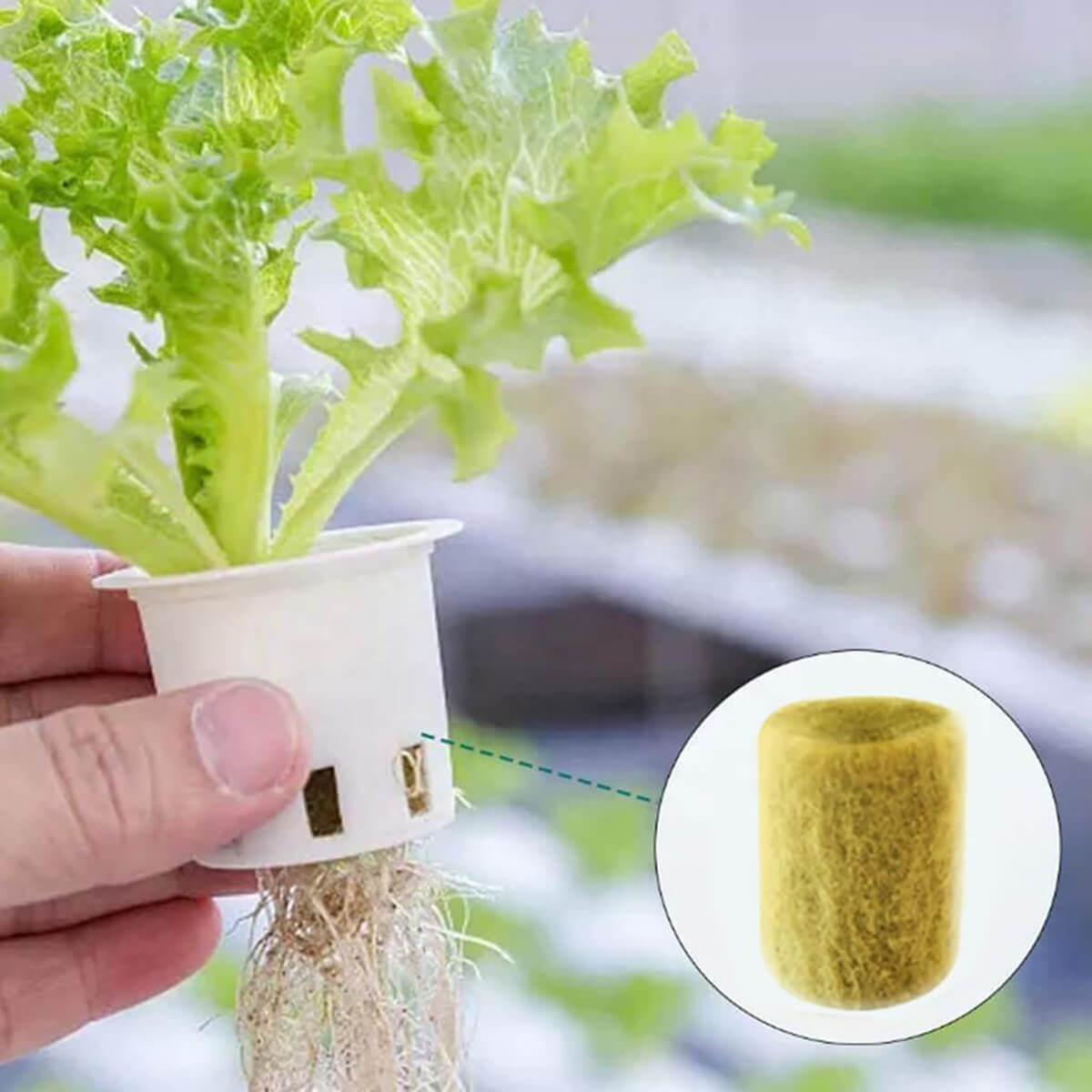 20mm rock wool plug for hydroponic plant propagation