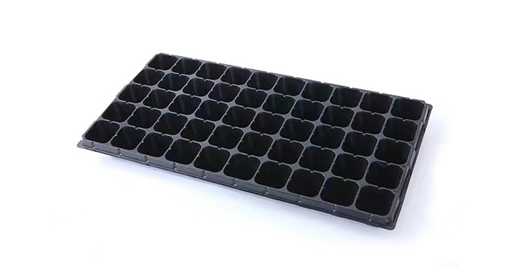 50-Cell Plastic Propagation Tray