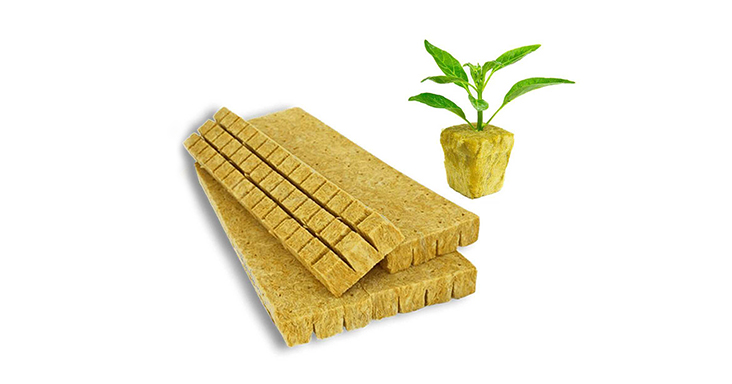 Rock Wool Propagation Plug-T25