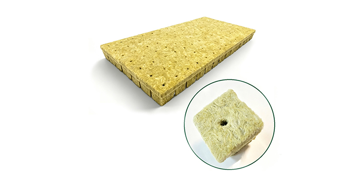 Rock Wool Propagation Plug T36