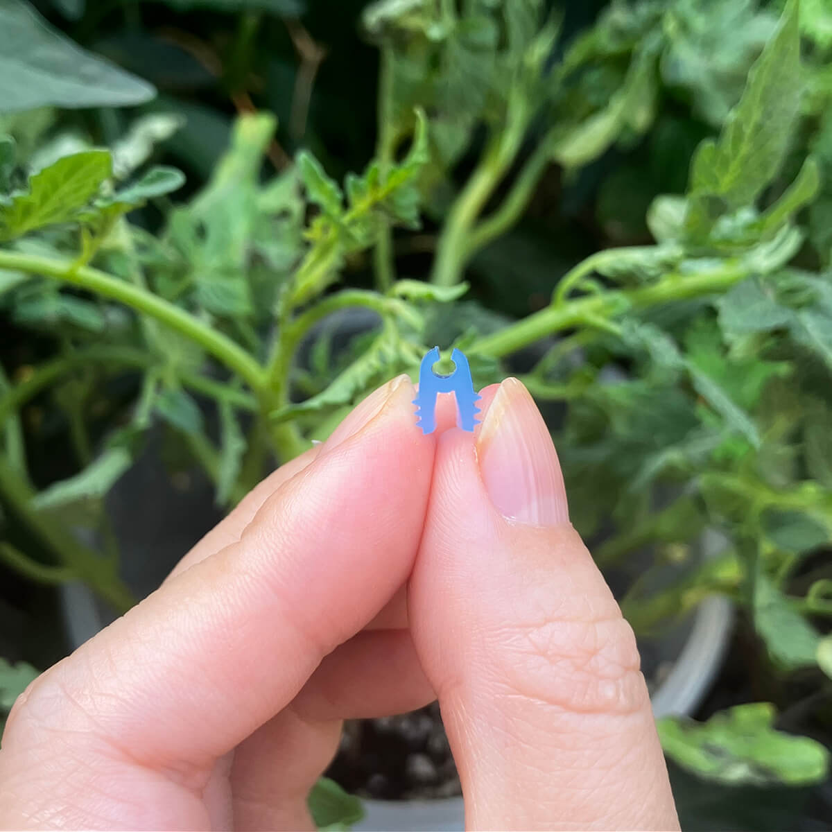 Hand holding 1.4mm soft silicone grafting clip showing easy one-hand operation for seedling grafting