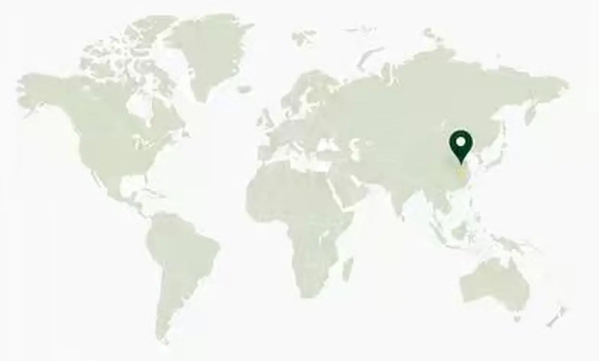 Grofine service location map